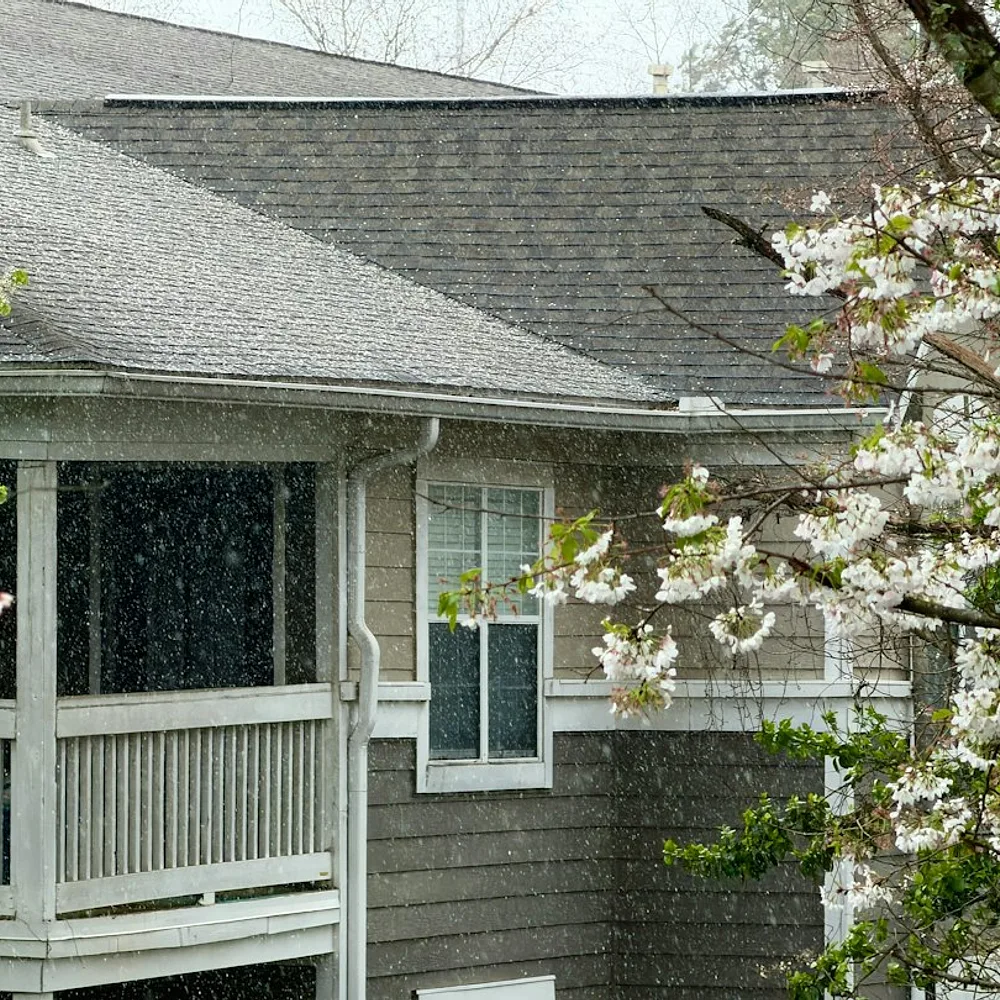 Rain falling on a house with blooming trees
